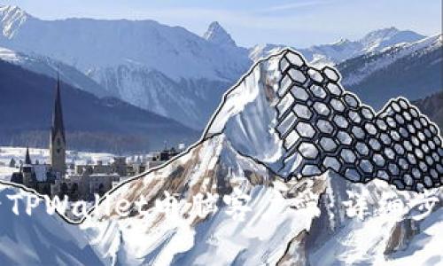 如何登录TPWallet电脑客户端：详细步骤与技巧