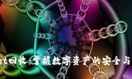  TPWallet回收：掌握数字资产的安全与盈利之道