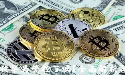 
TPWallet被华为管控了吗？全面解析与用户指南