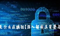 币U是什么区块链？深入解析其背景与应用