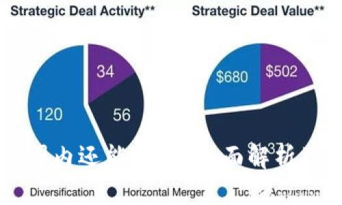 TPWallet国内还能用吗？全面解析及使用指南